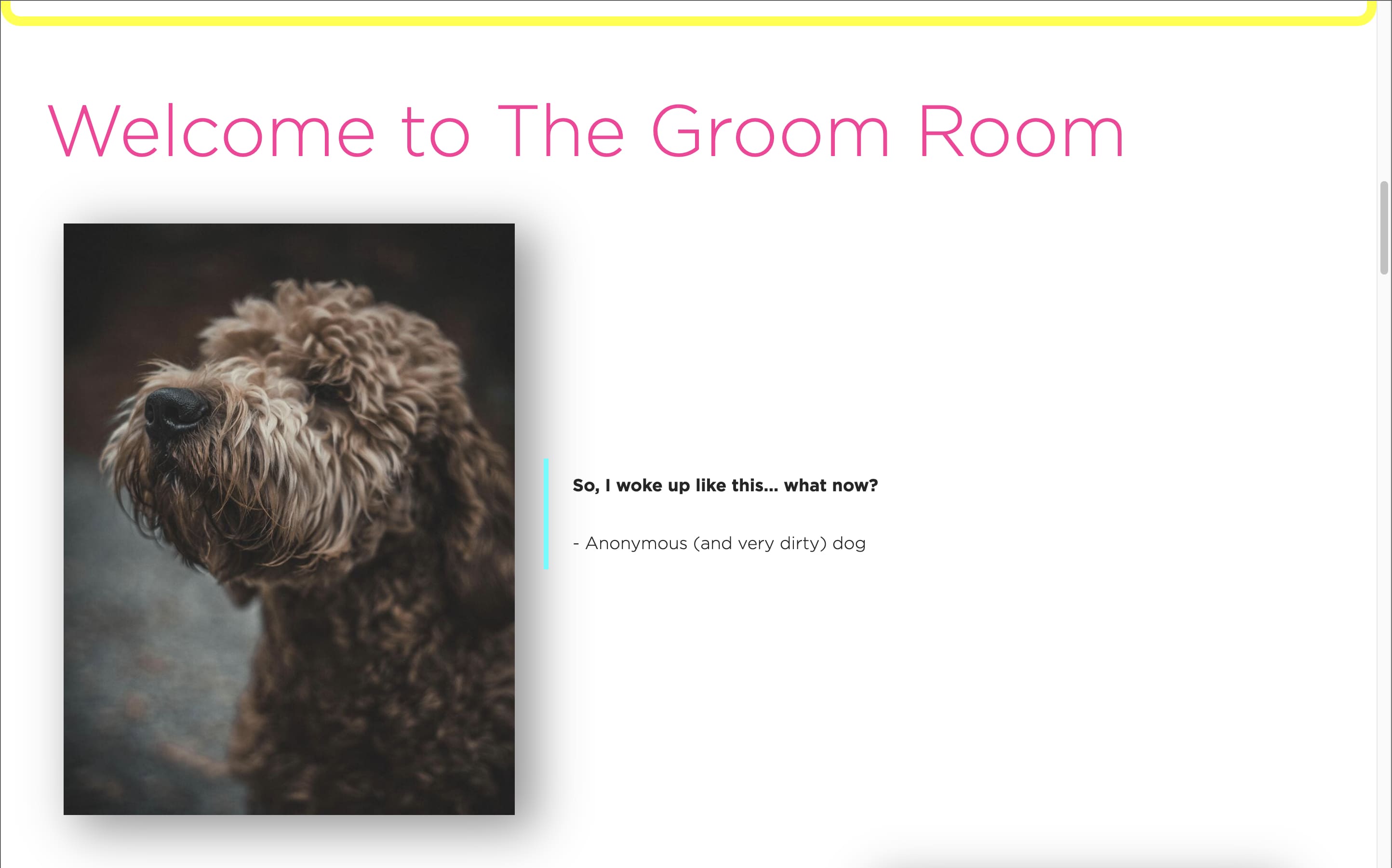 Website mockup image for Dogs Day Out